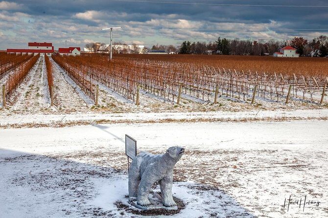 Private Niagara Ice Wine Tour - How the Guide Makes or Breaks the Experience