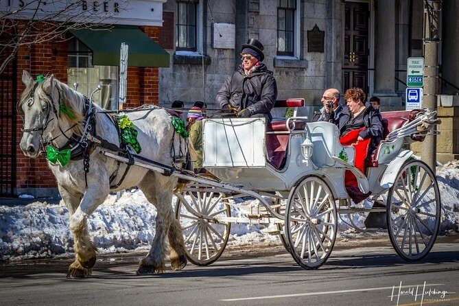 Private Niagara Ice Wine Tour - Private Tour Reality: Your Group, Your Pace