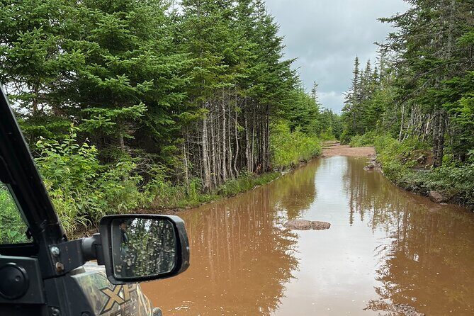 Private Shore Excursion UTV/ATV Side-by-Side Trail Tour - Cape Clear: the 1,500-foot viewpoint with lunch on the trail