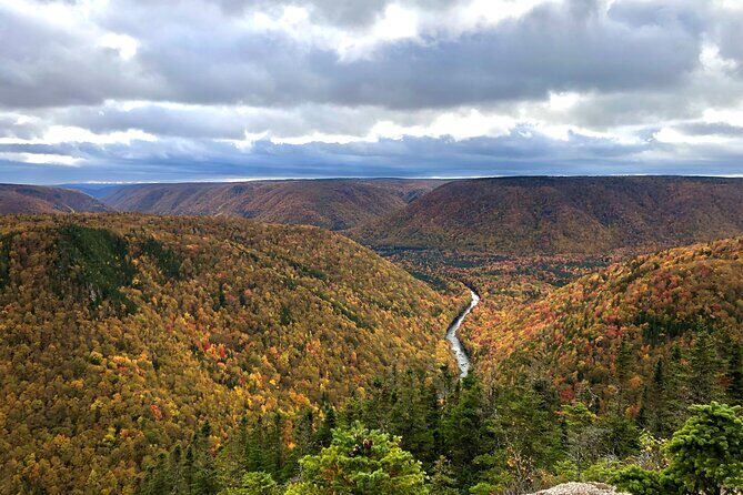 Private Shore Excursion UTV/ATV Side-by-Side Trail Tour - Hunters Mountain inside-trail riding: where the wildlife and backwoods views happen