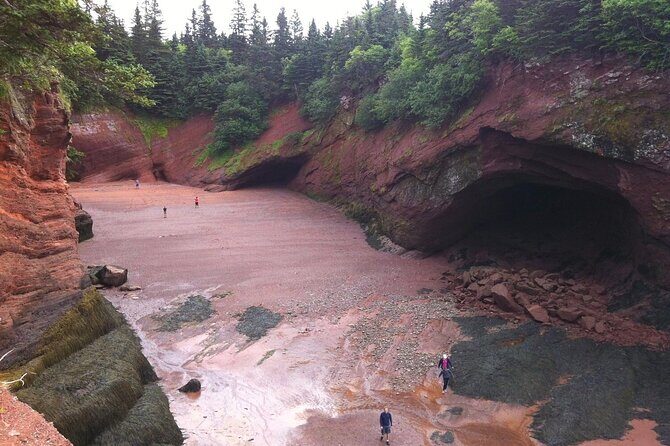 Private Sightseeing Tour In Saint John - Reversing Falls Rapids: Watching the River Do Something Wrong