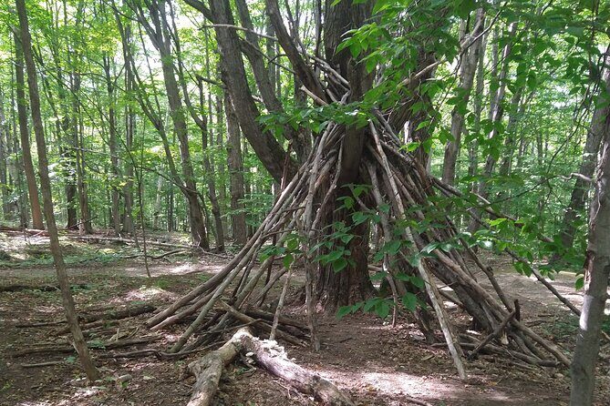Private Singhampton Caves Hiking Tour, Collingwood/Blue Mountain - Choosing your return route: lookouts vs. more crevices
