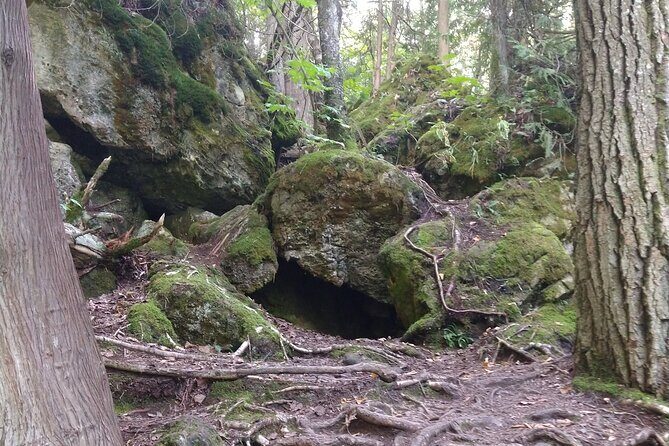 Private Singhampton Caves Hiking Tour, Collingwood/Blue Mountain - Singhampton vs. Nottawasaga Bluffs: pick your cave style