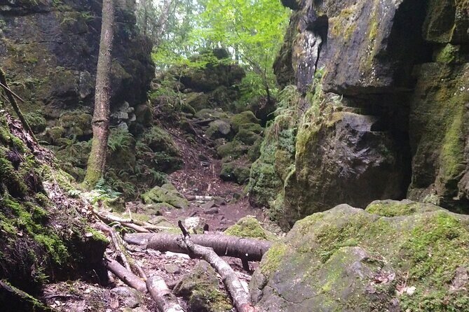 Private Singhampton Caves Hiking Tour, Collingwood/Blue Mountain - Entering Singhampton Caves (the parts you can actually enjoy)