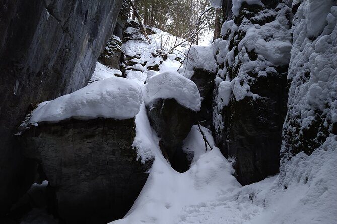 Private Singhampton Caves Snowshoe, Collingwood/Blue Mountain - Who This Tour Fits Best (and Who Might Want Another Option)