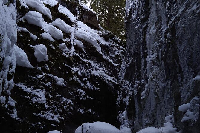 Private Singhampton Caves Snowshoe, Collingwood/Blue Mountain - Should You Book This Private Singhampton Caves Snowshoe?
