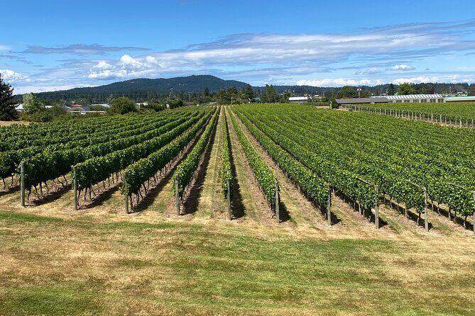 Private Small Group Local Wine, Cider Tasting, Central Saanich - How the schedule avoids the usual tasting-day chaos