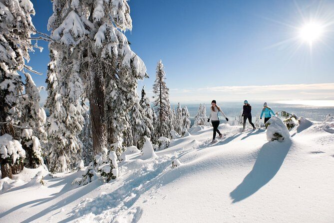 Private Tour: Capilano Suspension Bridge and Grouse Mountain - Capilano Suspension Bridge Park: the bridge crossing and treetop views
