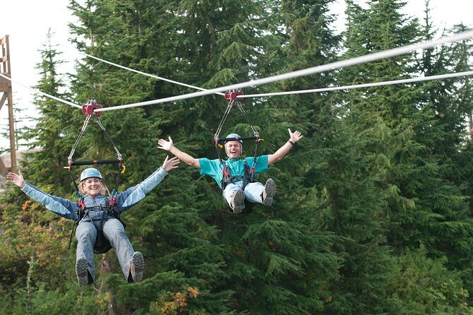Private Tour: Capilano Suspension Bridge and Grouse Mountain - Grouse Mountain in about two hours: gondola up, wildlife and shows