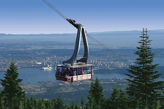 Private Tour: Capilano Suspension Bridge and Grouse Mountain - Price and value: what $367.78 per person buys you