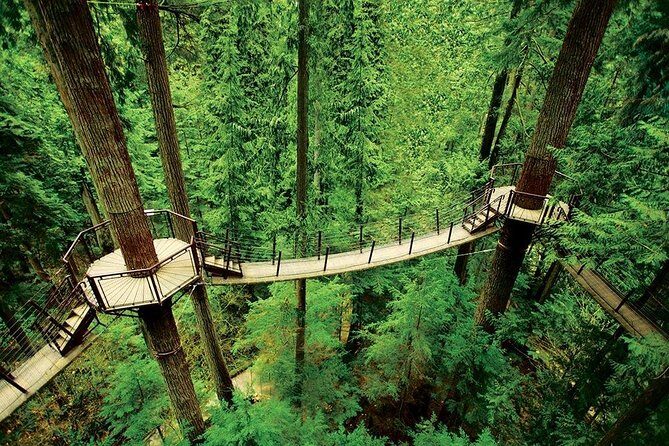 Private Tour: Capilano Suspension Bridge and Grouse Mountain - Who this private tour suits best (and who should rethink it)