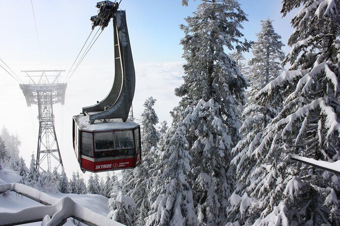 Private Tour: Capilano Suspension Bridge and Grouse Mountain - Riding through Vancouver: Stanley Park and Lion’s Gate Bridge viewpoints