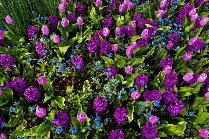 Private Tour Countryside Drive to Butchart Gardens & Victoria - Who this tour fits best