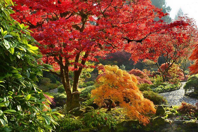 Private Tour: Gardens of Vancouver - Chinatown walking time: use it for orientation and photos
