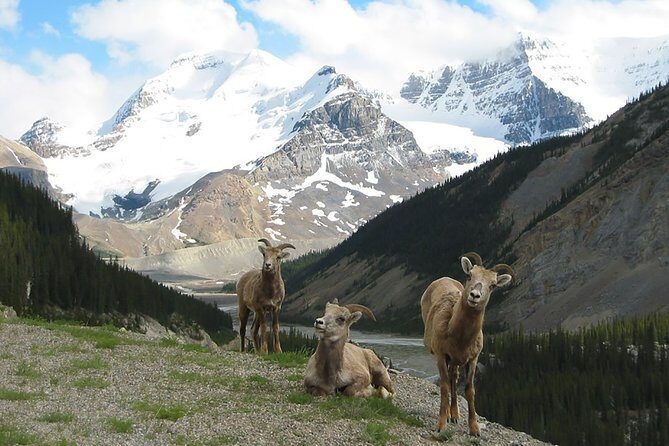 Private Tour: Majestic Mountains PHOTO SAFARI Drive - 4H - Key highlights to know before you go