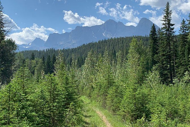 Private Tour: Majestic Mountains PHOTO SAFARI Drive - 4H - What this 4-hour Majestic Mountains Photo Safari is really like