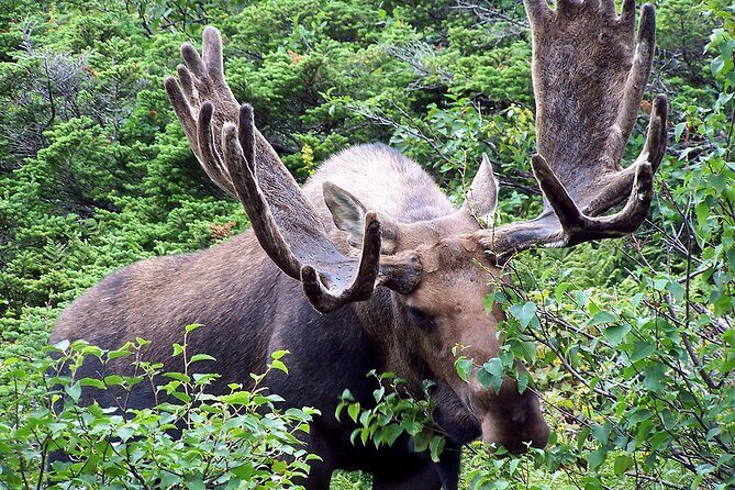Private Tour: Majestic Mountains PHOTO SAFARI Drive - 4H - Price and value: is $598 per group worth it?