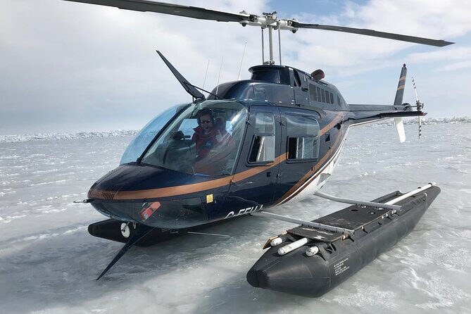 Private Tour: Niagara Falls Helicopter Flight - Where you go: National Helicopters in Virgil (and no hotel pickup)