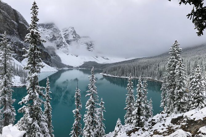 Private Tour of Lake Louise and the Icefield Parkway for up to 12 guests - Price and value for a private group up to 12