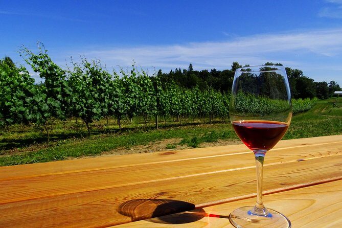 Private Tour: Vancouver Half Day Wine Tasting Tour - When Richmond wineries show up: Lulu Island, Country Vines, and Sanduz