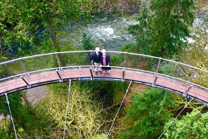 Private Tour: Vancouver Sightseeing and Capilano Suspension Bridge - Capilano Suspension Bridge Park: bridge, treetops, and a rainforest vibe