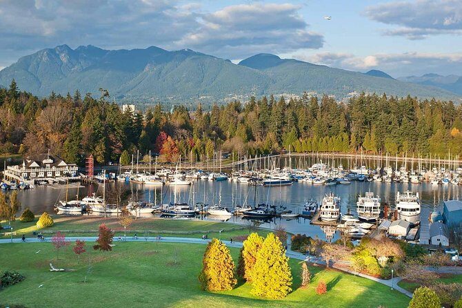Private Tour: Vancouver Sightseeing and Capilano Suspension Bridge - Photo tips that feel practical, not performative