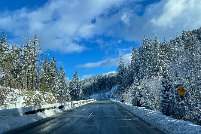 Private Transfer Between Vancouver Cruise and Seattle Airport - The ride itself: comfort details that matter on travel days
