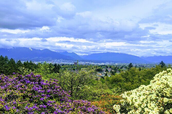 Private Vancouver Compact City Tour by Land and Water - Queen Elizabeth Park: The Gardens That Reset Your Pace
