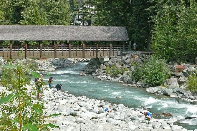 Private Whistler Day Trip from Vancouver - Peak 2 Peak and trams: what you can add, and what it costs