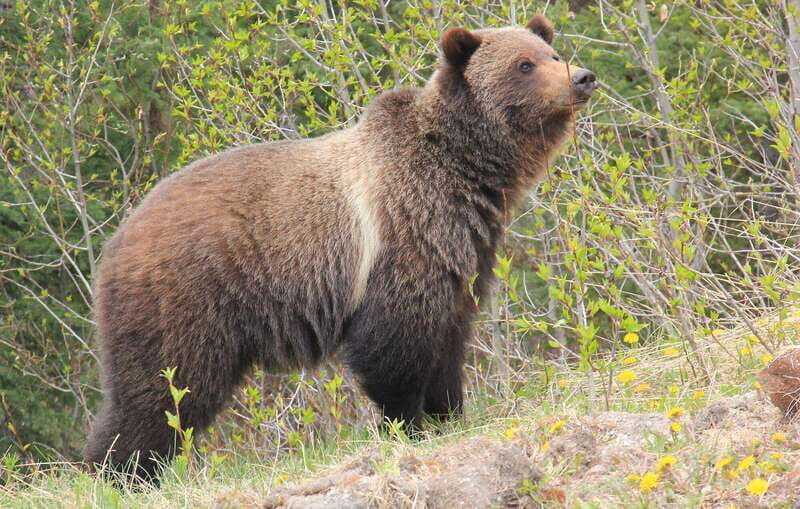 PRIVATE Wilderness and Wildlife Walking Tour - 3hrs - Who this tour fits best in the real world