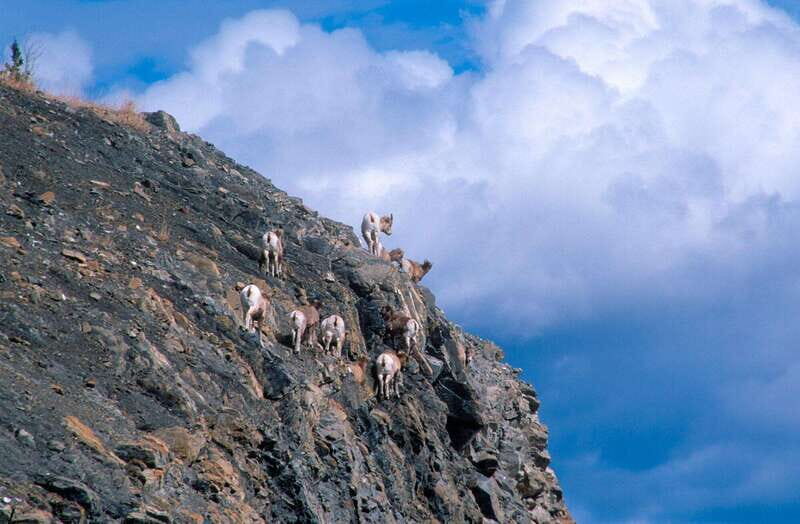 PRIVATE Wilderness and Wildlife Walking Tour - 3hrs - The 150-minute plan: guided hiking that stays fun, not rushed