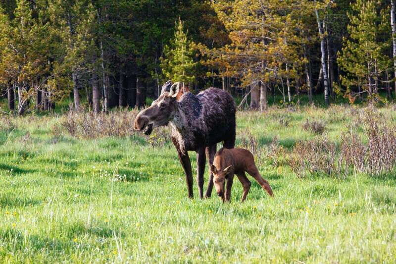 PRIVATE Wilderness and Wildlife Walking Tour - 3hrs - What you’ll learn about flora, fauna, and local ecosystems