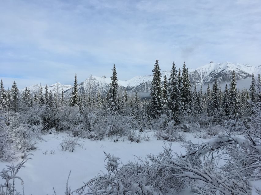 PRIVATE Wilderness and Wildlife Walking Tour - 3hrs - Transport and included extras that add up to real value
