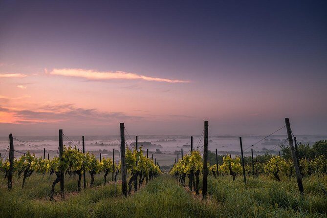 Private Wine and Chocolate Tour in Niagara Wine Region - Key highlights for your day