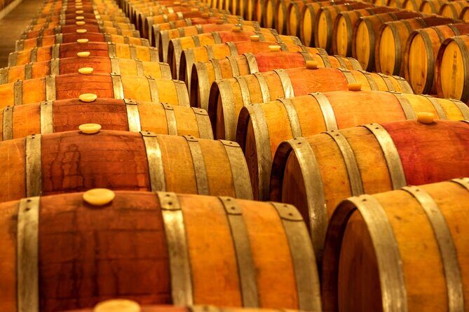 Private Wine Tour in Niagara-on-the-Lake w/ cheese & charcuterie - Marynissen Estate: small-lot wine with a rustic-modern vibe