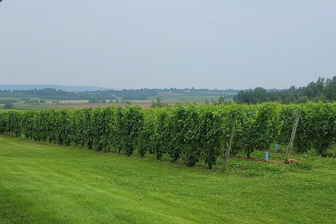 Private Wine Tours from Halifax - Timing, duration, and the weather reality check