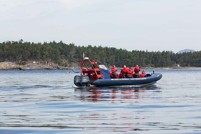Private Zodiac Whale Watching Tour from Victoria - Comfort on the Salish Sea: Zodiac Ride Reality Check