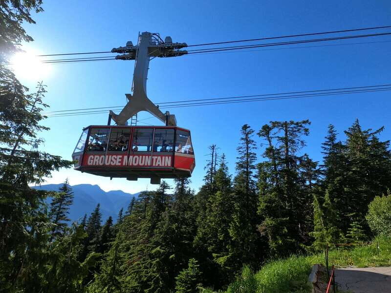 PrivateTour Capilano Br+Granville Islan+Hatchery+Lynn Canyon - Lynn Canyon Suspension Bridge: a forest walk with real altitude