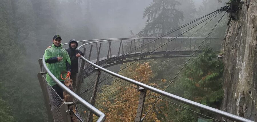PrivateTour Capilano Br+Granville Islan+Hatchery+Lynn Canyon - Pricing and value: what $189 gets you (and when it’s worth it)