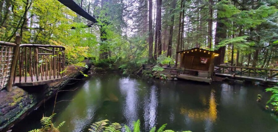 PrivateTour Capilano Br+Granville Islan+Hatchery+Lynn Canyon - What to bring, and how to plan your comfort