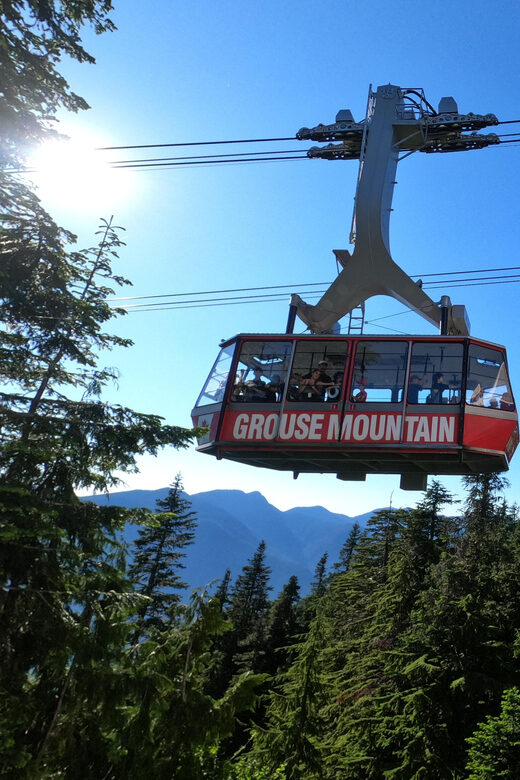 PrivateTour Capilano Br+Granville Islan+Hatchery+Lynn Canyon - Who this private tour fits best