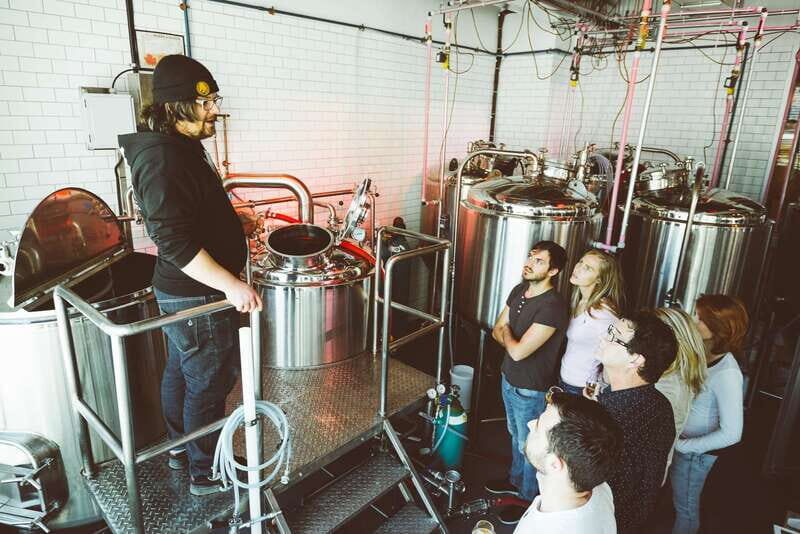 Quebec City: Craft Brewery and Beer Tasting Tour - Noctem Artisans Brasseurs: cats, crazy beers, and brewing basics