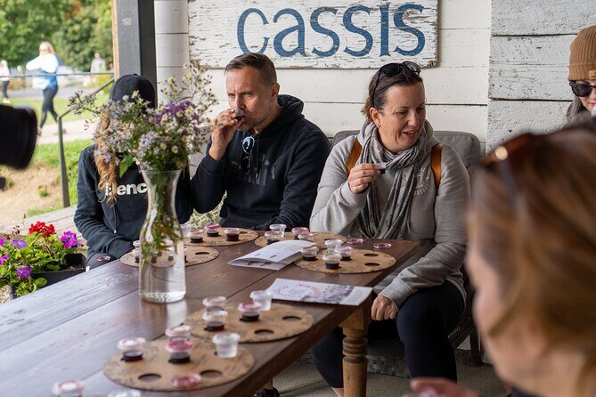 Quebec City - Guided E-Bike Tour & Tastings - Ile d'Orléans - Berries at Ferme François Gosselin: Tasting With River Views
