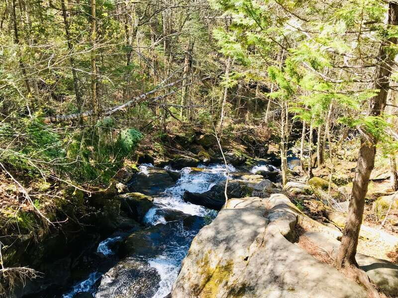 Quebec City: Guided Hike in Jacques-Cartier National Park - What to bring (and the footwear truth nobody wants to hear)