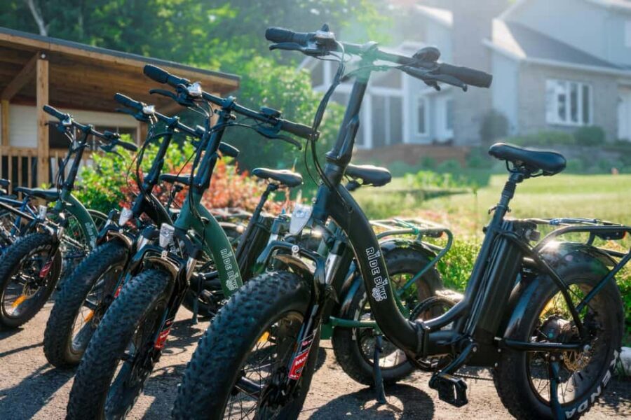 Quebec City: Ile d'Orléans Guided E-Bike Tour with Tastings - Who This E-Bike Tastings Tour Fits Best (And Who Might Prefer Another Style)