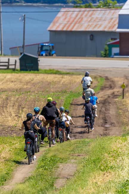 Quebec City: Ile d'Orléans Guided E-Bike Tour with Tastings - The Hill-Glide to a Family-Run Vineyard for Wine Tasting
