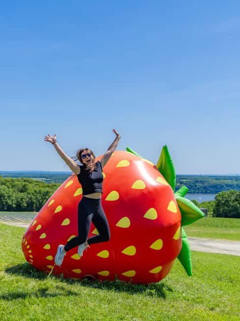 Quebec City: Ile d'Orléans Guided E-Bike Tour with Tastings - From the Island Bridge to St. Petronille: Riding Chemin Royal in Real Life
