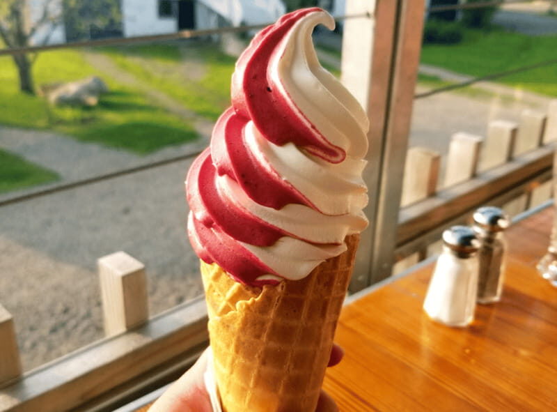 Quebec City: Island of Orléans Taste Trail - Price and logistics: what you’re really paying for