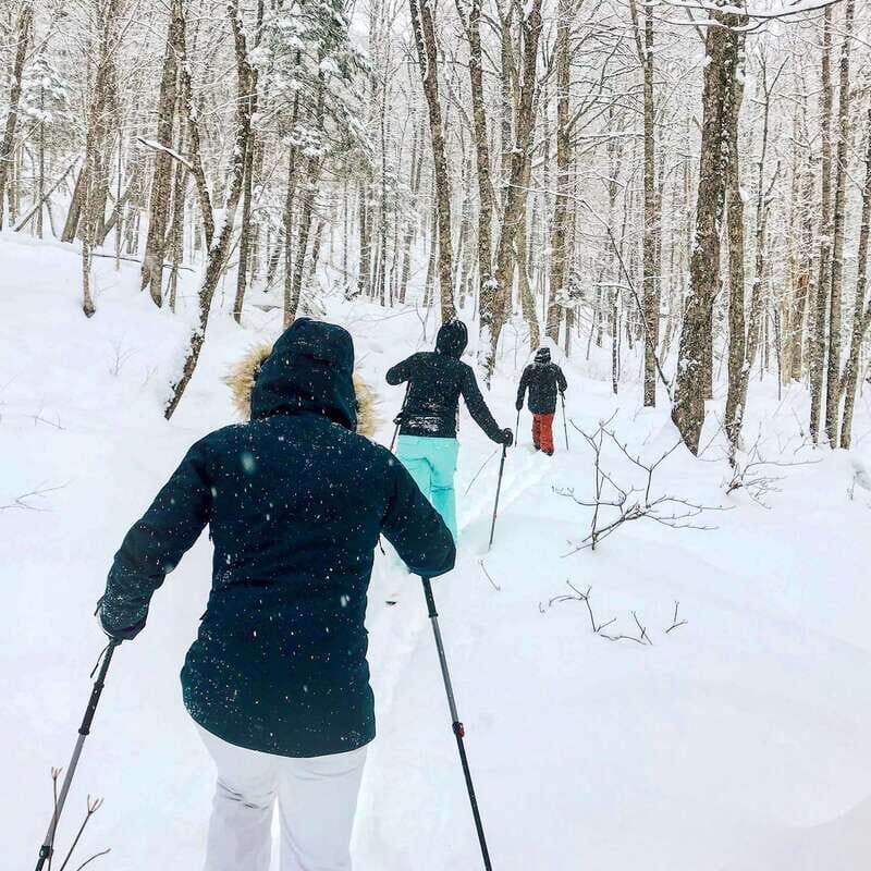 Quebec City: Jacques-Cartier National Park Snowshoeing Tour - Who This Tour Suits Best (and Who Should Skip It)