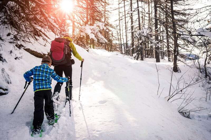 Quebec City: Jacques-Cartier National Park Snowshoeing Tour - Why Jacques-Cartier National Park Snowshoeing Works as a Day Trip